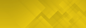 CSNW-Services-bgnd-gold